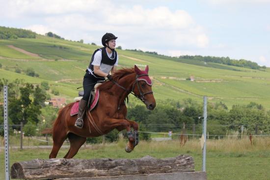 TREC WANGEN 12.06.2011