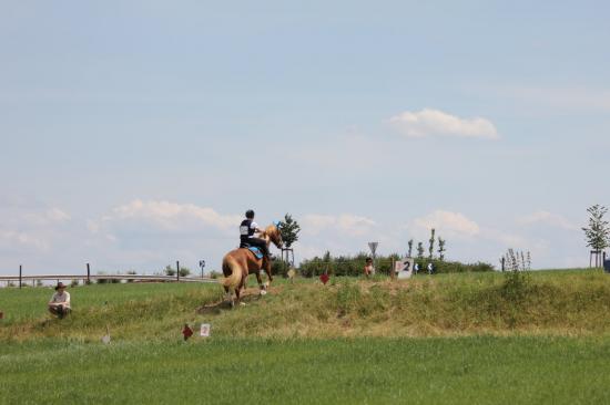 TREC WANGEN 12.06.2011