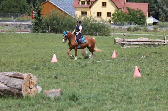 TREC WANGEN 12.06.2011