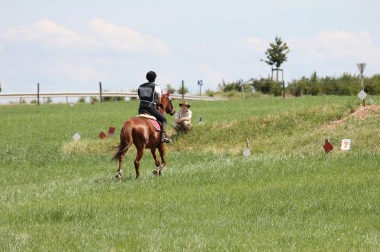 TREC WANGEN 12.06.2011
