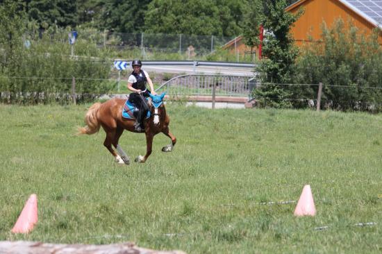 TREC WANGEN 12.06.2011
