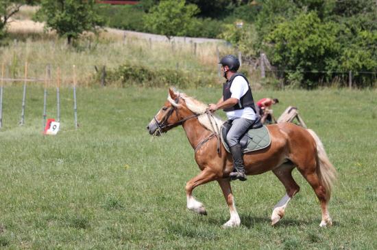 TREC WANGEN 12.06.2011