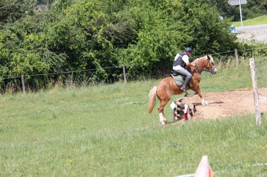 TREC WANGEN 12.06.2011