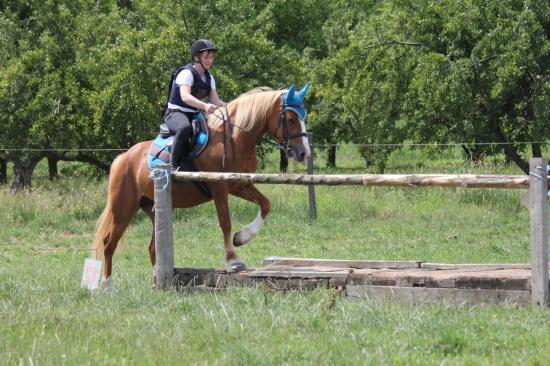 TREC WANGEN 12.06.2011