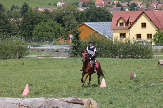 TREC WANGEN 12.06.2011