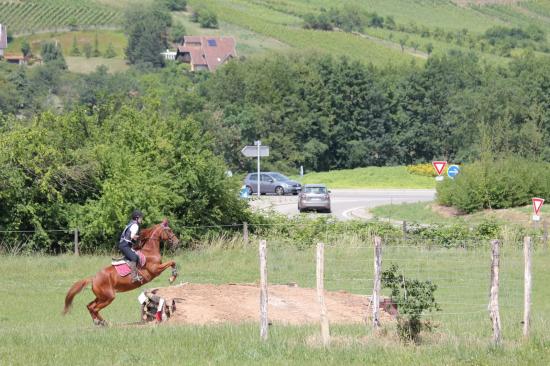 TREC WANGEN 12.06.2011