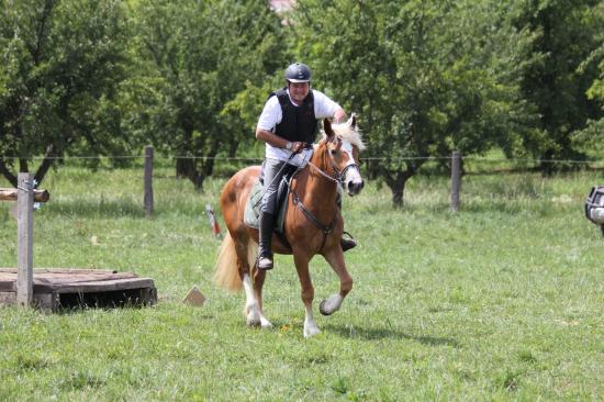 TREC WANGEN 12.06.2011