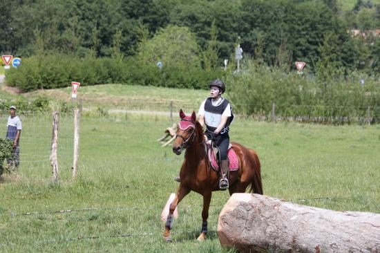 TREC WANGEN 12.06.2011