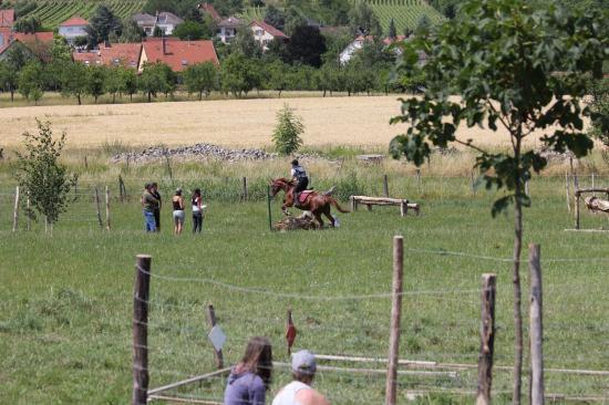 TREC WANGEN 12.06.2011