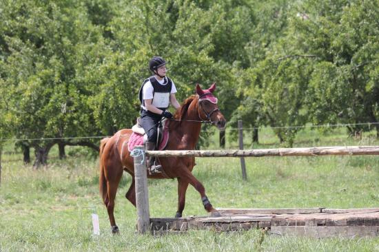 TREC WANGEN 12.06.2011