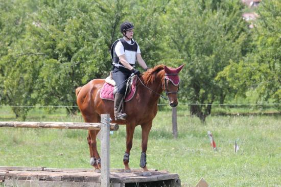 TREC WANGEN 12.06.2011