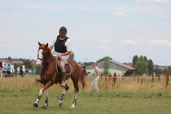 TREC WANGEN 12.06.2011