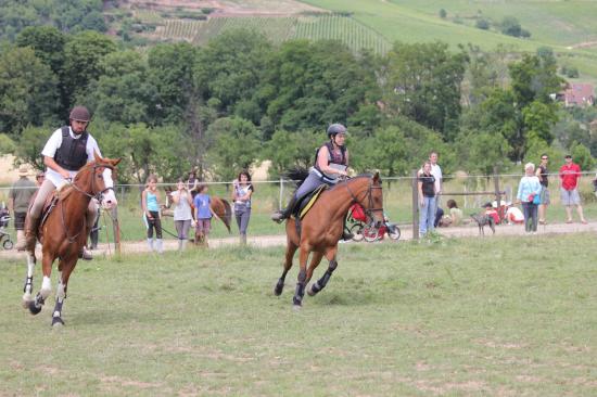 TREC WANGEN 12.06.2011