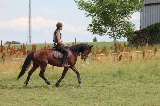 TREC WANGEN 12.06.2011