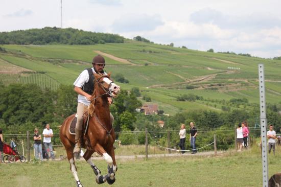 TREC WANGEN 12.06.2011