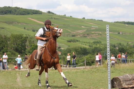 TREC WANGEN 12.06.2011