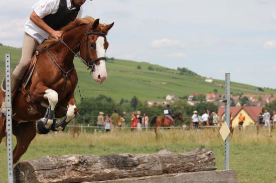 TREC WANGEN 12.06.2011