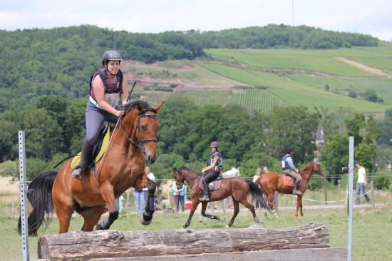 TREC WANGEN 12.06.2011