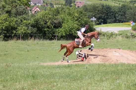 TREC WANGEN 12.06.2011
