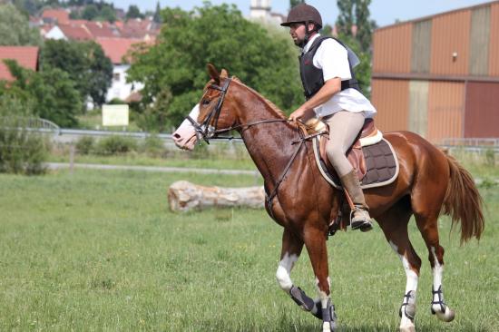 TREC WANGEN 12.06.2011