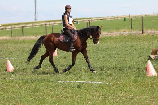 TREC WANGEN 12.06.2011