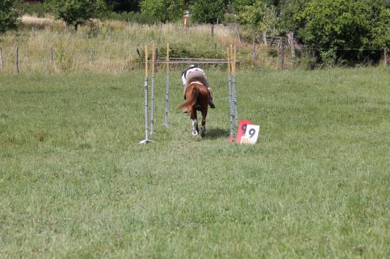 TREC WANGEN 12.06.2011