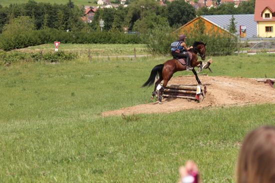 TREC WANGEN 12.06.2011