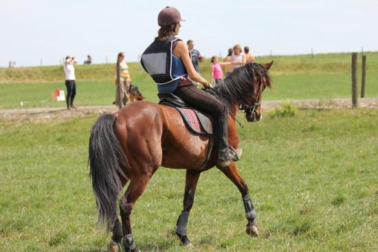 TREC WANGEN 12.06.2011