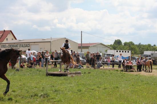TREC WANGEN 12.06.2011