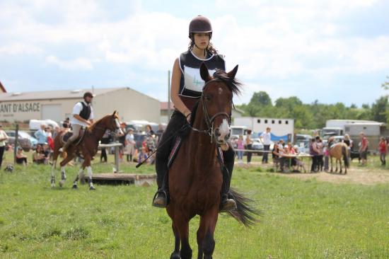 TREC WANGEN 12.06.2011