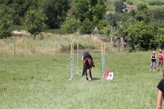 TREC WANGEN 12.06.2011