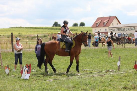 TREC WANGEN 12.06.2011
