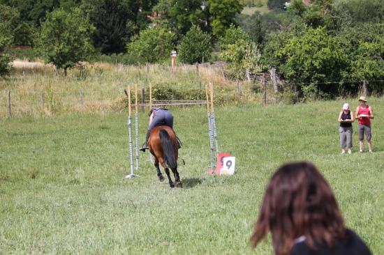 TREC WANGEN 12.06.2011