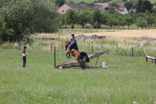 TREC WANGEN 12.06.2011