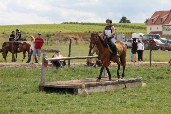 TREC WANGEN 12.06.2011