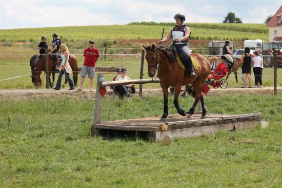 TREC WANGEN 12.06.2011