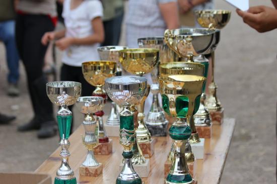 TREC WANGEN 12.06.2011