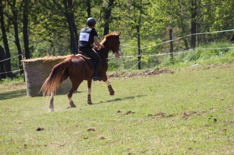 IMG_3529