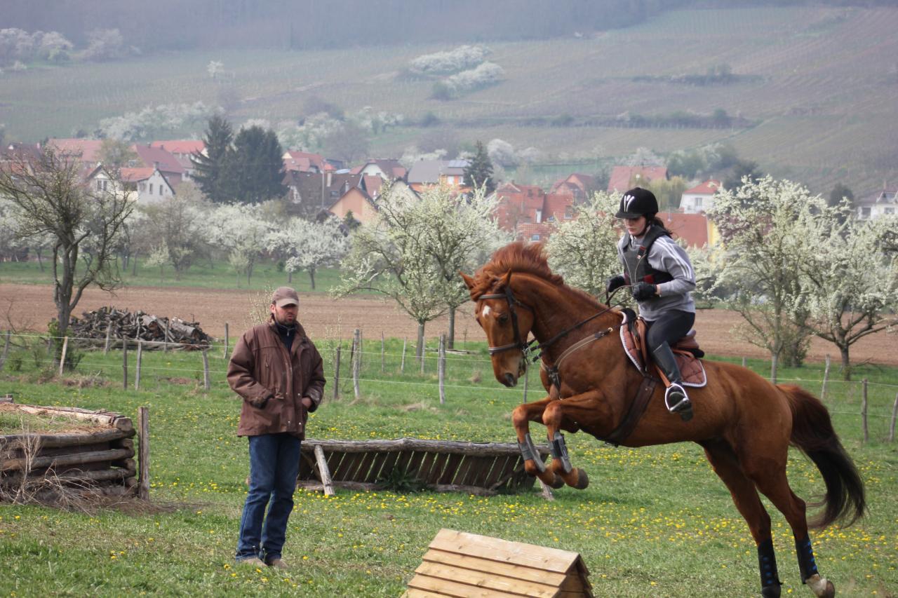 IMG_7060